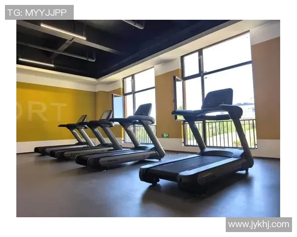 威海健身器材市场分析与发展趋势探讨助力健康生活新方式